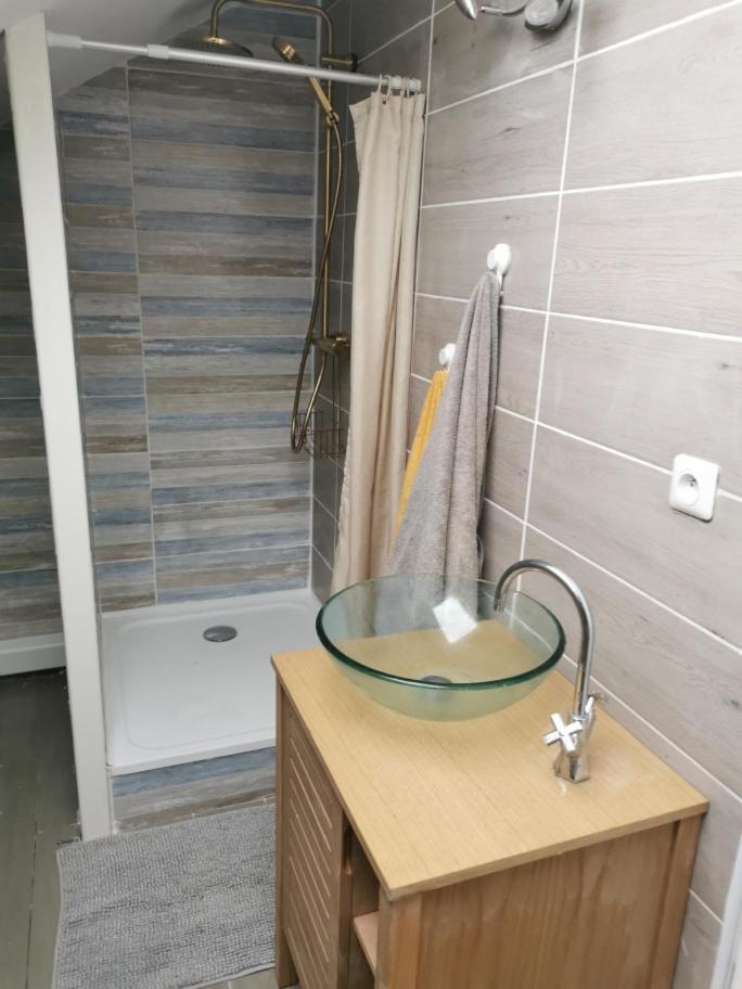 Hotel Logis St Cyrien à Saint-Cyr-en-Val Extérieur photo